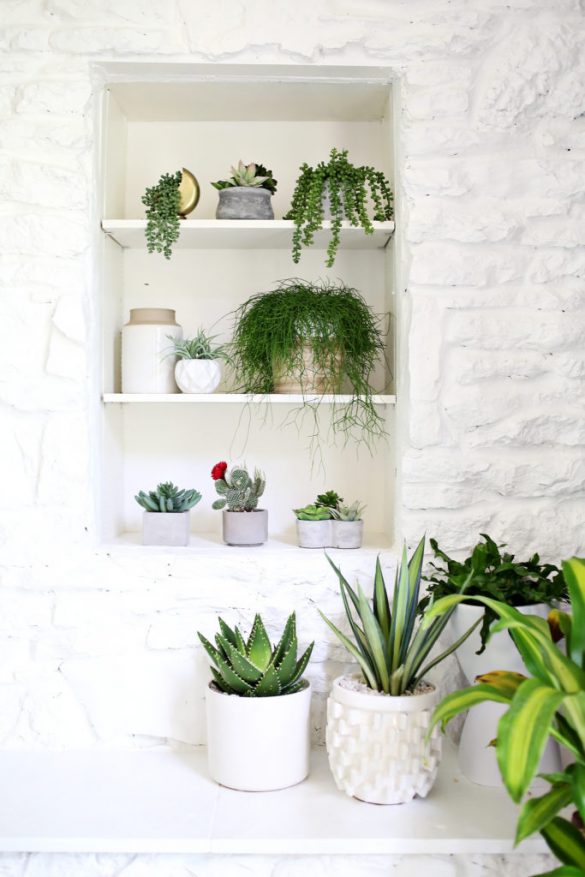 Episode #32: (MINI) All Things Faux Plants
