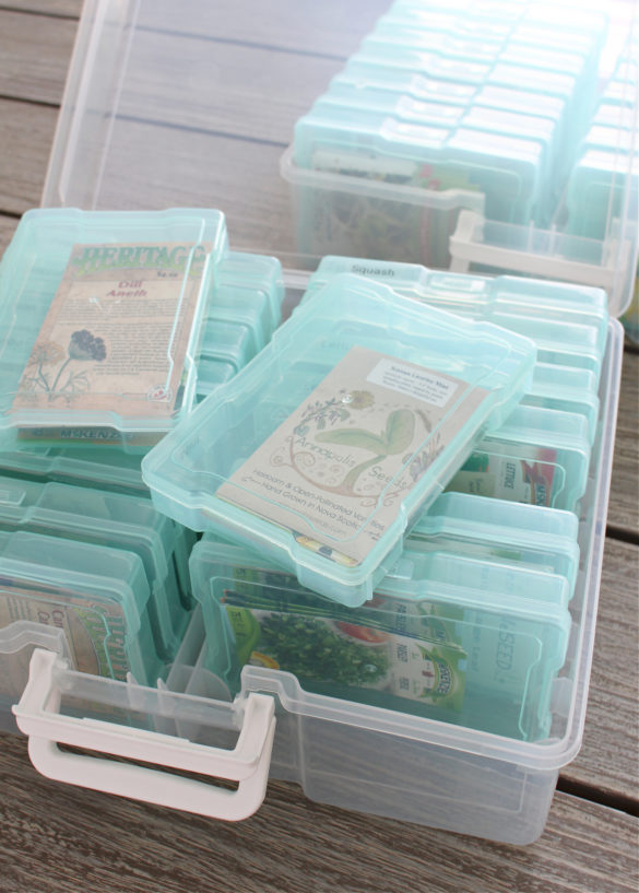 How to Store Seeds & Keep Seeds Organized