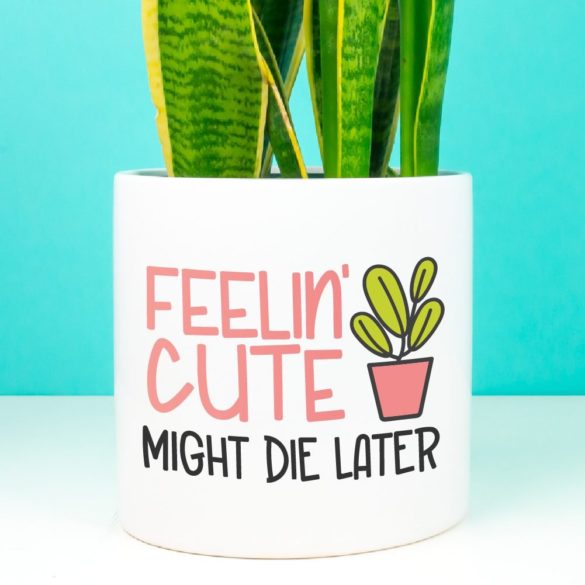 Free Plant SVG: Feelin’ Cute, Might Die Later