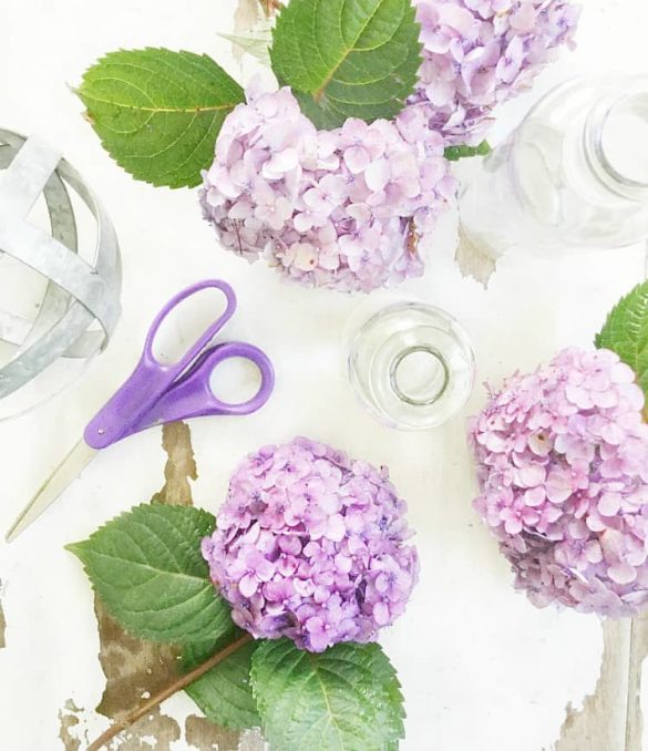 How To Decorate With Hydrangeas
